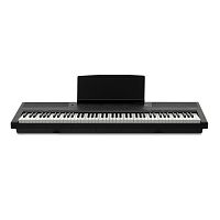 Emotive Hammerpiano 1 BK