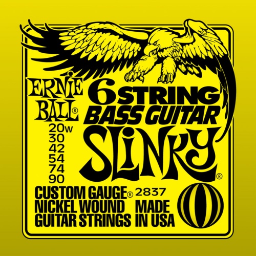 Ernie Ball 2837