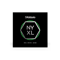 D`ADDARIO NYNW038