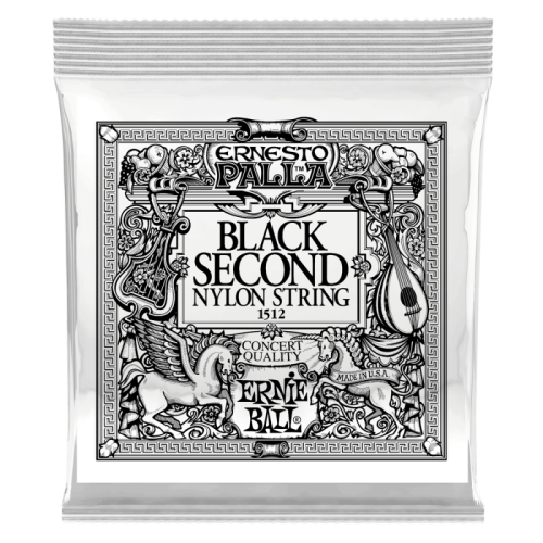 ERNIE BALL P01512