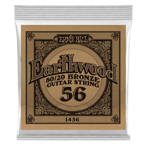 ERNIE BALL P01456